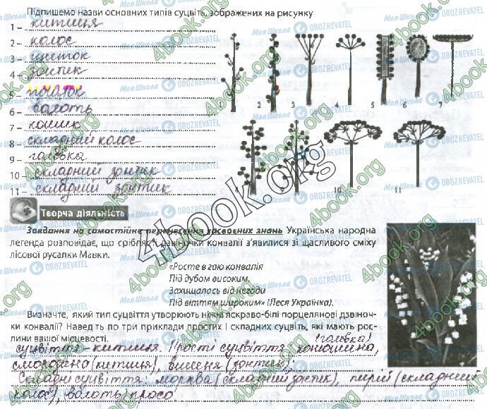 ГДЗ Біологія 6 клас сторінка Стр.55 (1)